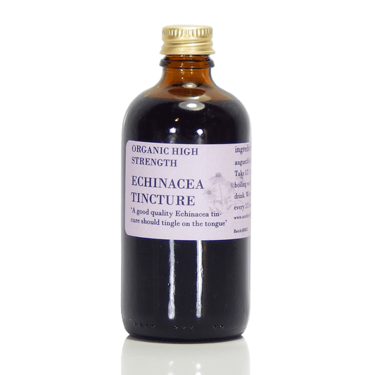 Echinacea Tincture