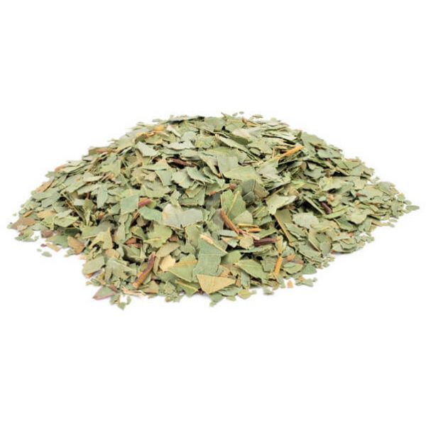 Eucalyptus Leaf