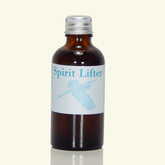 Ardaitheoir Spiorad