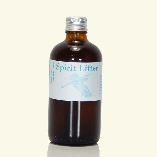 Ardaitheoir Spiorad