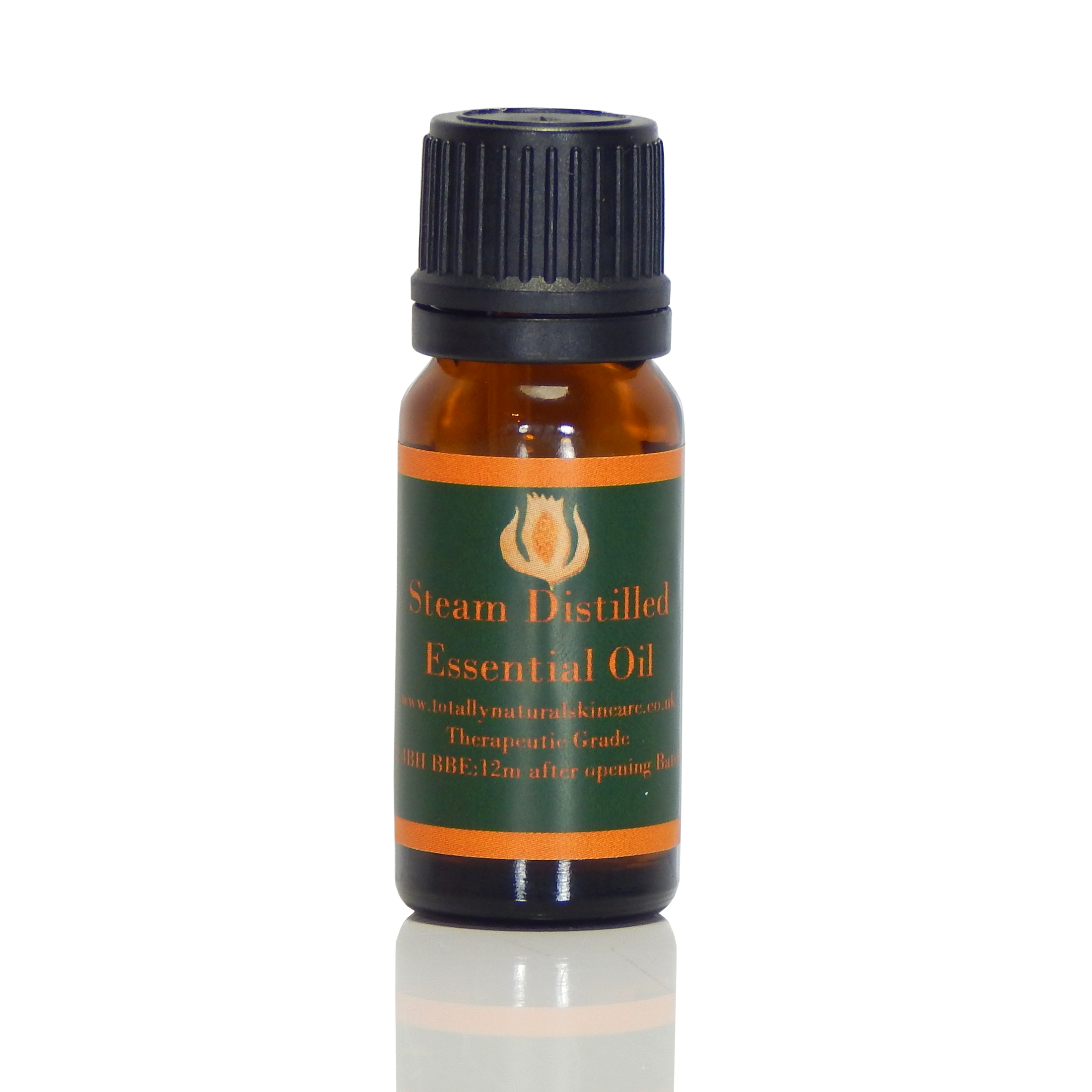 Peppermint Essential Oil (organic) - Mentha Arvensis