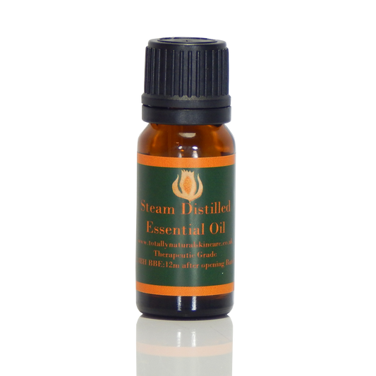 Peppermint Essential Oil (organic) - Mentha Arvensis